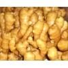 natural plant extract Ginger Extract 5% Gingerols by HPLC