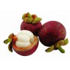 100% Natural mangosteen extract Mangostin 5%-95%