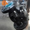 Check valve