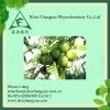 100% Natural Amla Powder Extract (Latin Name:Phyllanthus emblica Extract)