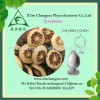 plant herbal extract Synephrine powder 6%-98%