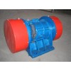 Electric vibrator motor for concrete industry