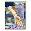 Skin Casting Silicone Rubber