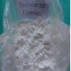 Testosterone Cypionate steroid powder