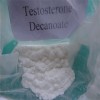 Testosterone  Decanoate steroid powder