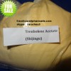 Trenbolone Acetate high quality &discreet package&delivery guaranteed steroid powders
