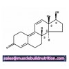Trenbolone