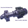 Screw Self Suction Pump(YLsJZXLG-1.5), 750W