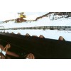 Cold Resistant Conveyor Belt