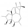 20-deoxyingenol