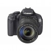 Canon EOS 600D----$280