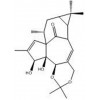 Ingenol-5,20-acetonide