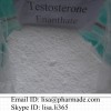 Testosterone Enanthate Testosterone Raw Powder