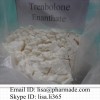Trenbolone Enanthate Finarex 200 Trenbolone Powder