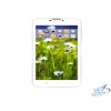 6 Inch Android Tablet PC MT601C-2G