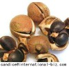 Tea Seed Extract