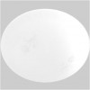 LED Ceiling Light Indoor 8001 big stretch Series 10W