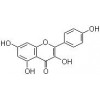 Kaempferol