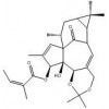 Ingenol-5,20-acetonide-3-O-angelate