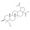 23-Hydroxybetulinic acid