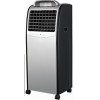 Portable air cooler fan