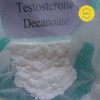 Testosterone Decanoate(steroids)