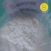 Testosterone Phenylpropionate(steroids)
