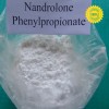Nandrolone Phenpropionate (durabolin)(steroids)