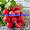 Radish red