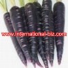 Product Name: Black Carrot Color