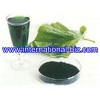 OIL-SOLUBLE CHLOROPHYLL (COPPER CHLOROPHYLL)