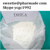 Buy Dehydroepiandrosterone acetate DHEA injectable steroids powder