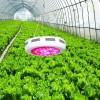 North Carolina ufo led grow lights for sale
