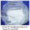 Testosterone Enanthate Testosterone Raw Powder