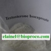Testosterone Isocaproate
