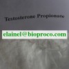 Testosterone Propionate