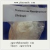 Testosterone Phenylproprionate Buy Steroids Raw Testosterone Powders