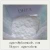 DHEA Dehydroisoandrosterone Raw Steroid Powders Androstenolone