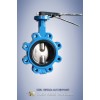 China OEM Custom Keystone  Cast Iron Butterfly Valve