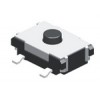 Turntable speed control switch