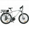 Electric bike LiFePO4 battery 24V20Ah