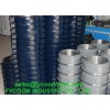 Hammer union with rotary hose