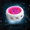 JYO small power LED Grow Light UFO50x1watt