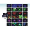 Laser stage lighting BEAM SHOW-FIT series