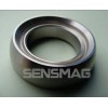 Alnico6