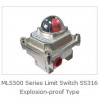 Limit Switch Box-SS316 Explosion-proof Type