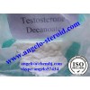 Androgen Testosterone undecanoate for Testosterone Replacement Therapy Raw Steroid Powders Andriol