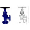 Angle Globe Valve