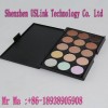 Chinese new/The best sales 15 Color Camouflage Concealer Make Up Price