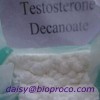 Testosterone Decanoate
